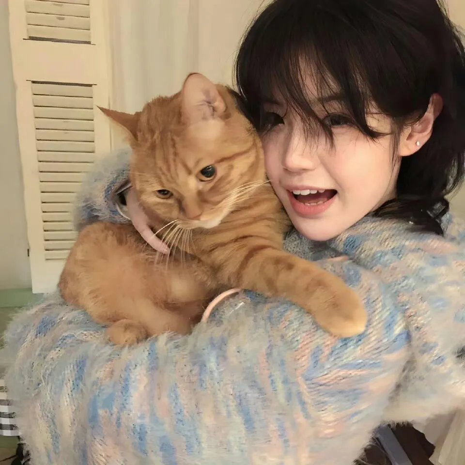 超级飞侠第十二季